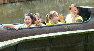 log flume