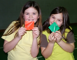 Origami cranes