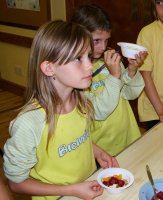 triffel