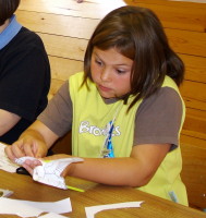 owl kites