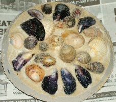 Shell paper weight