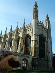 spikey the hedgehog