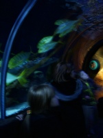 Sealife centre