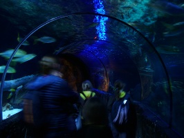 Sealife centre