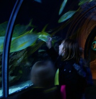 Sealife centre