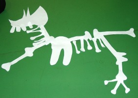 dinosaur bones
