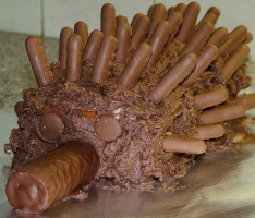 Echidna cake