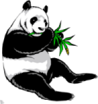 Giant Panda