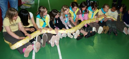 giant snake
