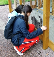 stroking a cat at Wood Green