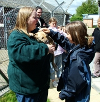 Stroking a puppy