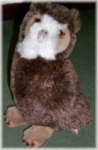 Hedwig
