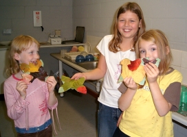 leaf butterflies