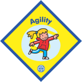 Agility Badge