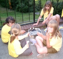 Toasting marshmellows over bbq