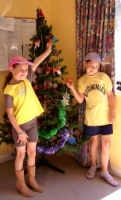 putting them on the tree