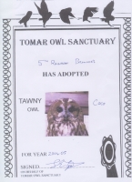 Certificate of adoption
