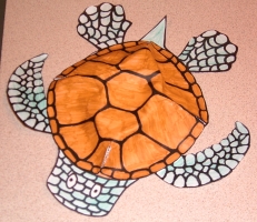 Close up turtle