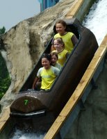 log flume