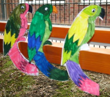balancing parrots