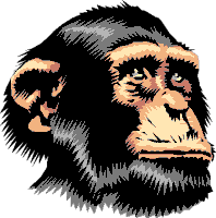 picture of a  chimpanzee