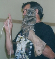 The man who came to talk to us about his owls