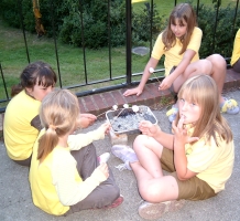 Toasting marsh mellows