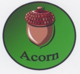 Acorn badge
