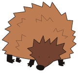 Hedgehog