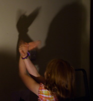 shadow puppets